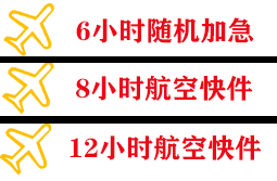 伊尔施空运地址快递公司,专业空运当天件